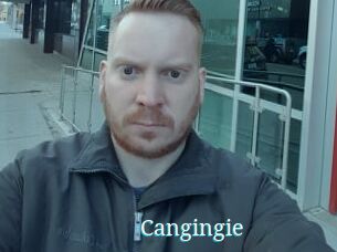 Cangingie
