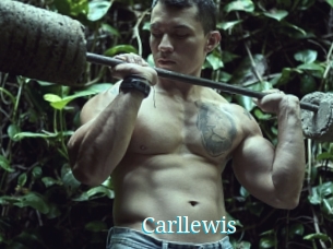 Carllewis