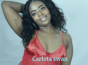 Carlota_swan