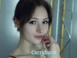 Carrybush