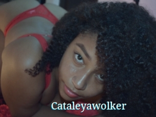 Cataleyawolker