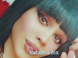 Catalina_fox