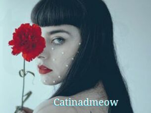 catinadmeow The voyeurs club
