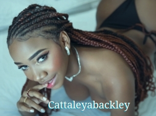 Cattaleyabackley