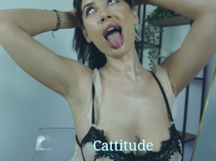 Cattitude
