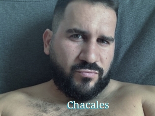 Chacales