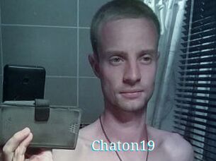 Chaton19