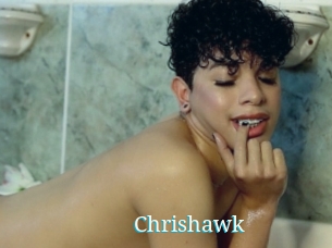 chrishawk The voyeurs club
