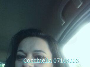 Coccinella-07105003