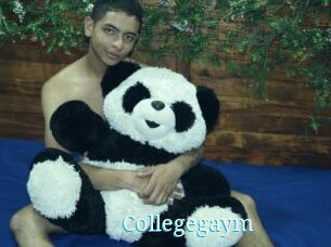 Collegegaym