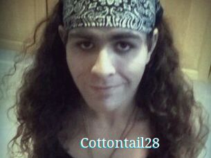 Cottontail28
