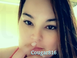 Cougar816