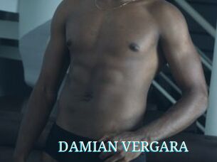 DAMIAN_VERGARA