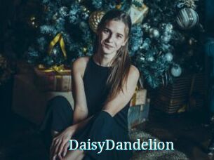 DaisyDandelion
