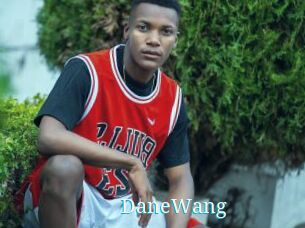 DaneWang