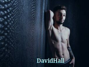 DavidHall
