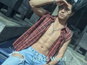 David_Wood