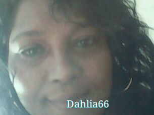 Dahlia66
