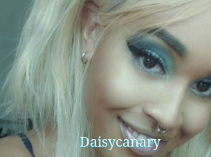 Daisycanary
