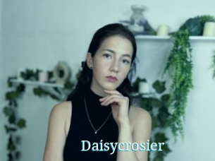 Daisycrosier
