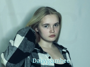 Daisygambee