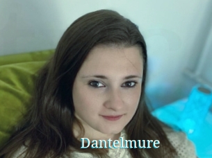 Dantelmure