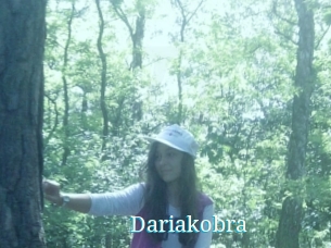 Dariakobra