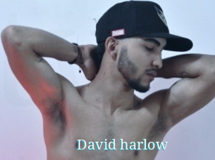David_harlow