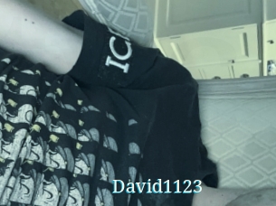 David1123