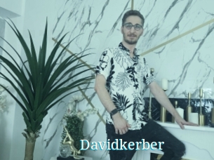 Davidkerber