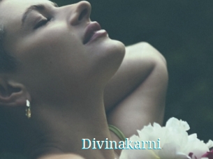 Divinakarni