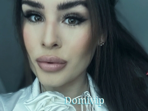 Domivip