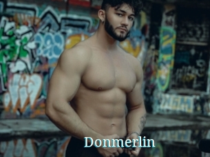 Donmerlin