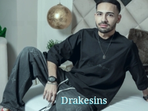 Drakesins
