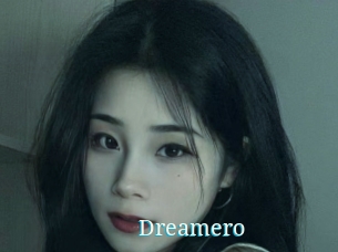 Dreamero