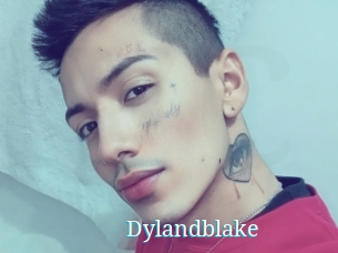 Dylandblake