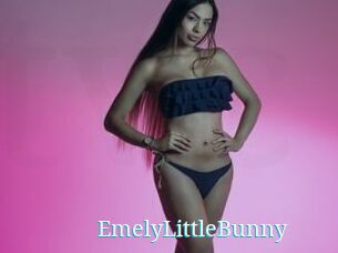 EmelyLittleBunny