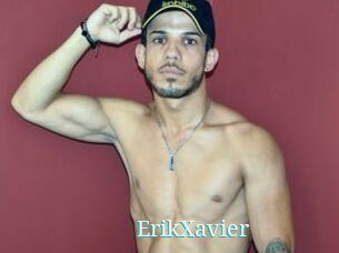 ErikXavier