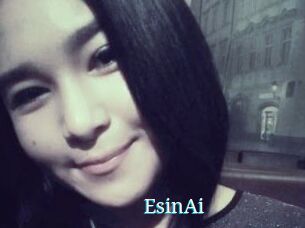 EsinAi