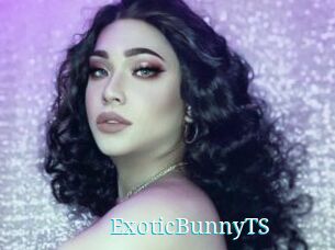 ExoticBunnyTS