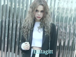 Editagitt