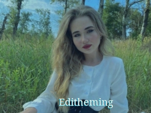 Editheming