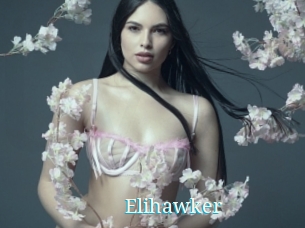 Elihawker