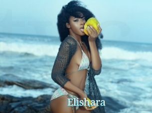 Elishara