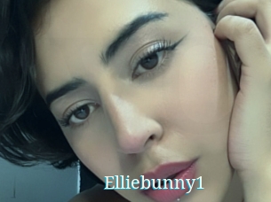 Elliebunny1
