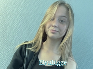 Elvabigge