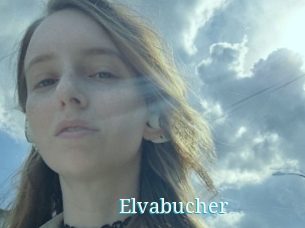 Elvabucher
