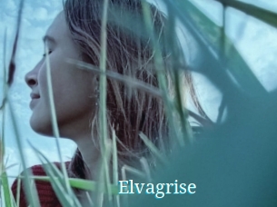 Elvagrise