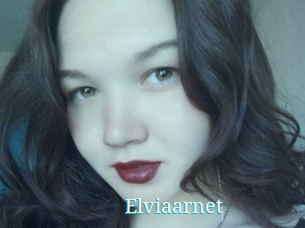 Elviaarnet