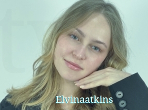 Elvinaatkins